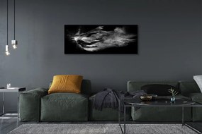 Obraz na płótnie Baletnica w Dymie na Szarym Tle