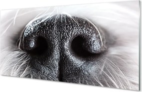 Szkło Ozdobne do Kuchni Zbliżenie na Psi Nos