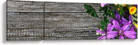 Obraz - kwiaty polne (170x50 cm)
