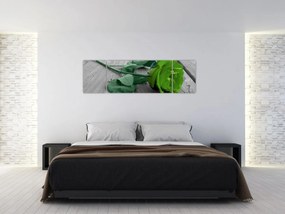 Obraz - Zielona róża (170x50 cm)