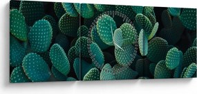 Obraz - Opuncja (z zegarem) (90x30 cm)