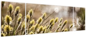 Obraz - Zieleń (170x50 cm)
