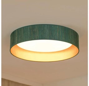 Brilagi - LED sufitowa lampa BOSTON ROLLER LED/24W/230V pr. 45 cm zielono-złota
