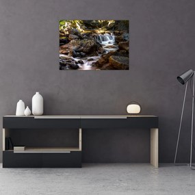 Obraz na szkle skalistego strumienia (70x50 cm)