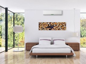 Obraz rozgwiazdy (170x50 cm)