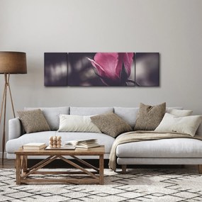 Obraz - Detal kwiatu róży (170x50 cm)