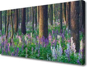 Zdjęcie na płótnie Korony Leśnych Drzew