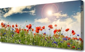 Obraz canvas Letnia Łąka w Blasku Dnia