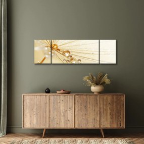 Obraz - Zdjęcie makro mniszka lekarskiego (170x50 cm)