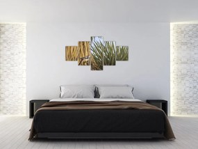 Obraz - Strzyżyk (125x70 cm)