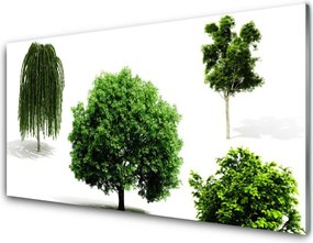 Szkło do Kuchni na Ścianę Majestatyczne Korony Drzew