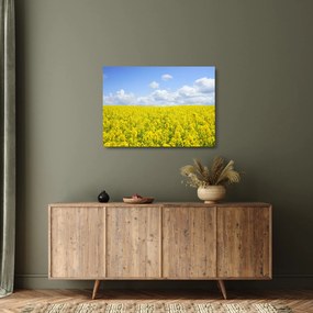 Obraz na szkle żółtego pola (70x50 cm)