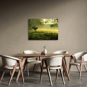 Obraz na szkle - Budzący się las (70x50 cm)