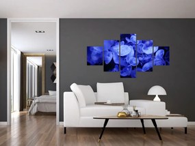 Obraz - Meduzy (125x70 cm)