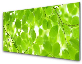 Obraz Akrylowy Liście Natura