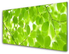 Obraz Akrylowy Liście Natura