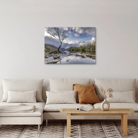 Obraz rzeki z drzewem (70x50 cm)