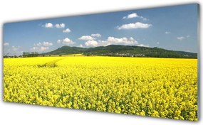 Panel Szklany Złociste Pole Rzepaku