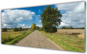 Panel Szklany do Kuchni Wiejska Droga Z Kostki