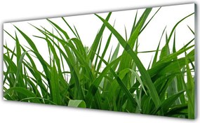 Panel nad blat kuchenny Świeżość Naturalnej Trawy