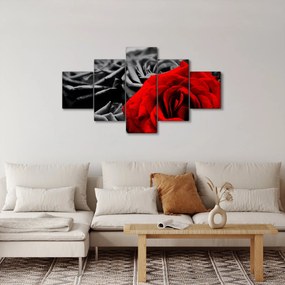 Obraz - Róże (125x70 cm)