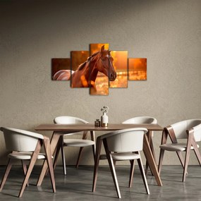 Obraz - Koń o zachodzie słońca (125x70 cm)