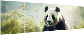 Obraz - Panda (170x50 cm)