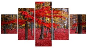 Obraz - Czerwony Las (125x70 cm)