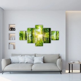 Obraz - Świt w lesie (125x70 cm)