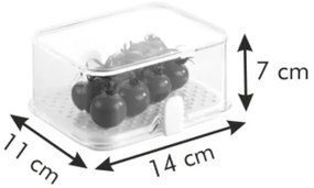 Tescoma Purity zdrowy pojemnik do lodówki 14 x 11 cm