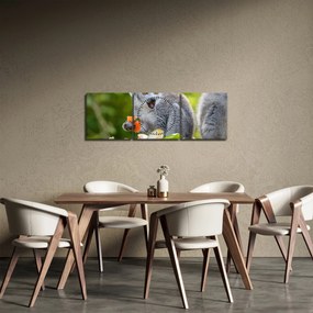 Obraz lemura (z zegarem) (90x30 cm)
