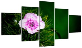 Obraz kwiatu róży (125x70 cm)