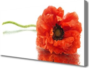 Obraz canvas Naturalny Bukiet Botaniczny