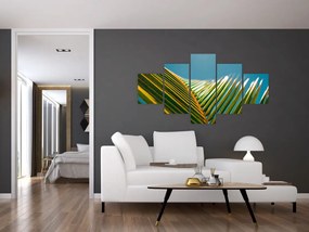 Obraz - Detal liścia palmowego (125x70 cm)