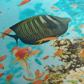 Obraz podwodnego świata (170x50 cm)