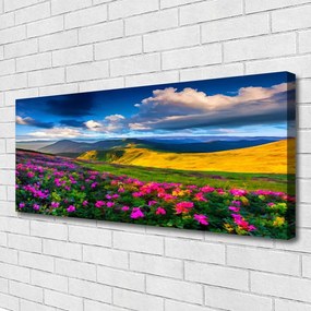 Fotoobraz na płótnie Malownicza Łąka Kwiatowa