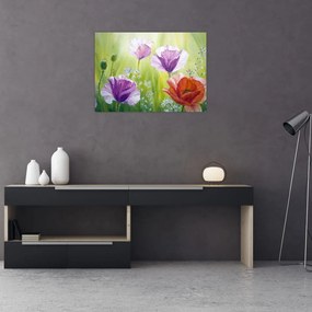Obraz na szkle - Maki (70x50 cm)