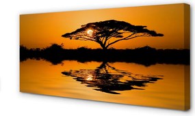 Obraz drukowany na płótnie Drzewo o Zachodzie Słońca