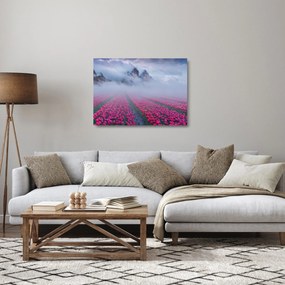 Obraz na szkle - Krajobraz z polami tulipanów (70x50 cm)