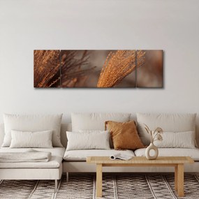 Obraz - Kortaderia (170x50 cm)