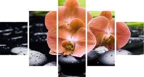 Obraz - Pomarańczowa orchidea z liśćmi palmy (125x70 cm)