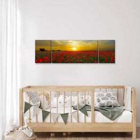 Obraz pola maków (170x50 cm)