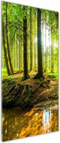 Foto obraz szklany pionowy Strumień w lasie