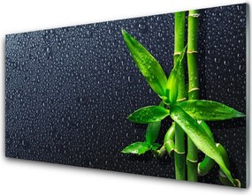 Panel Szklany do Kuchni Egzotyczny Pęd Bambusa