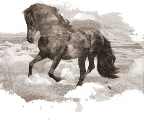 Plakat Horse