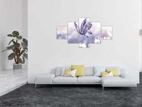 Obraz - Motyl i lawenda (125x70 cm)