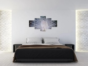 Obraz - Biały paw (125x70 cm)