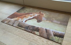 Wycieraczka Deco Star Przyjaciele 50 cm x 80 cm