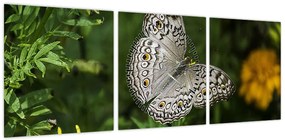 Obraz - biały motyl (z zegarem) (90x30 cm)