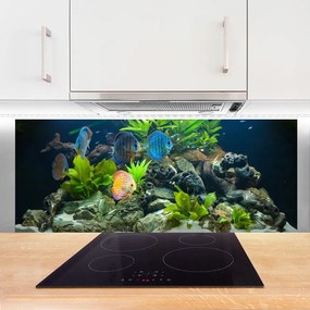 Panel Szklany do Kuchni Egzotyczne Ryby w Akwarium